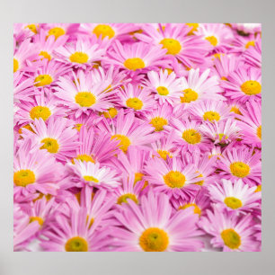 Pink Yellow Flowers Seamless Background Poster