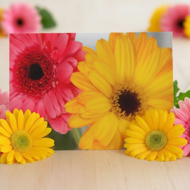 Pink Yellow Gerbera Daisy Friendship Bright Floral Card (Creator Uploaded)