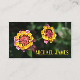 Pink Yellow Lantana Flower Floral Garden Photo Business Card