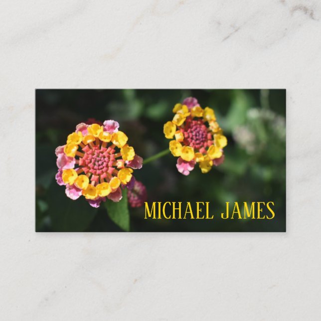 Pink Yellow Lantana Flower Floral Garden Photo Business Card (Front)