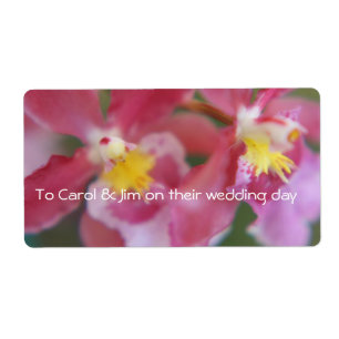 Pink & Yellow Orchids