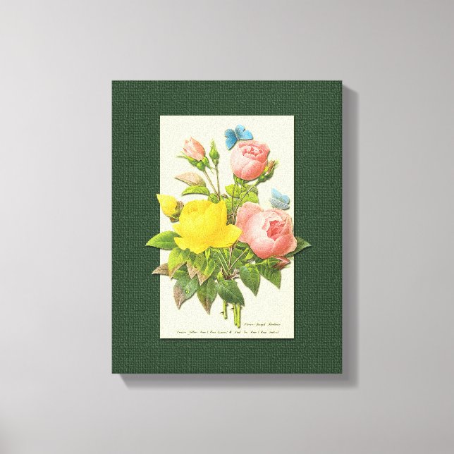 Pink Yellow Rose Botanical Art Wrapped Canvas (Front)