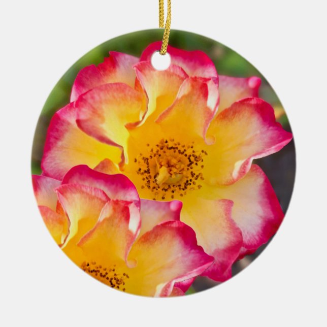 Pink Yellow Rose Ceramic Tree Decoration (Front)