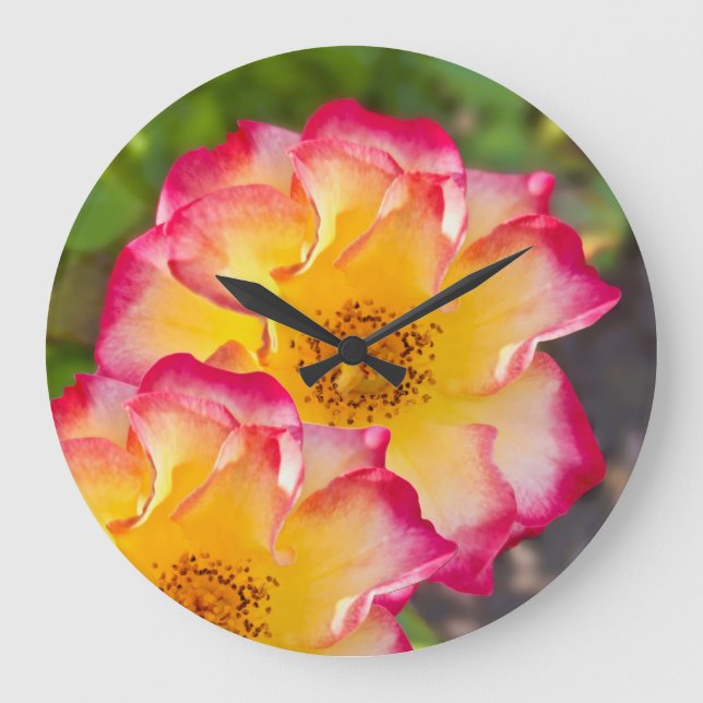 Pink Yellow Rose Large Clock (Front)