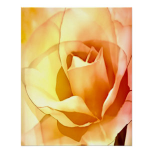 Pink Yellow Rose Watercolor Style Glossy Poster