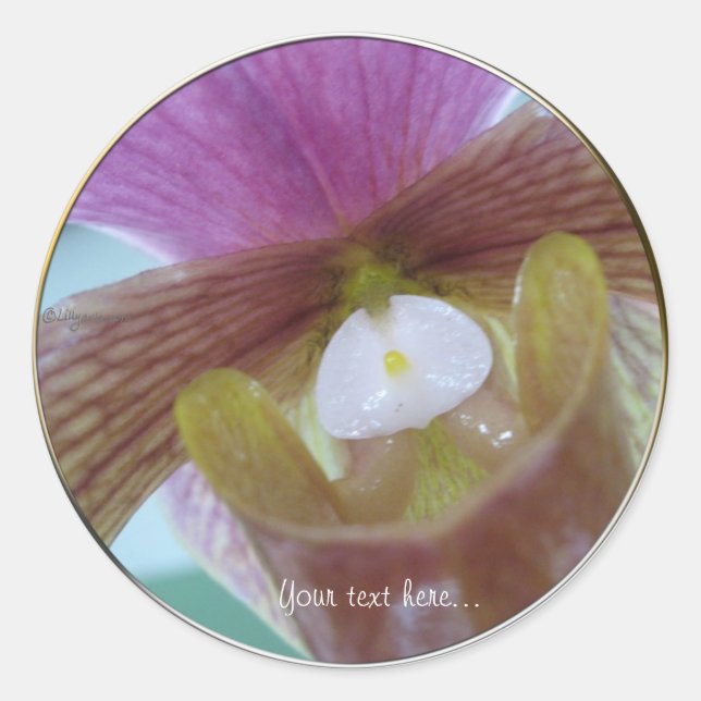 Pink Yellow Slipper Orchid Wedding Sticker (Front)