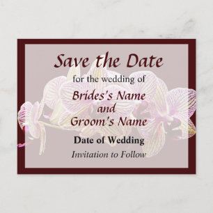 Pink Yellow Striped Orchid Save the Date Announcement Postcard