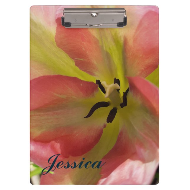 Pink & Yellow Tulip  Clipboard (Front)