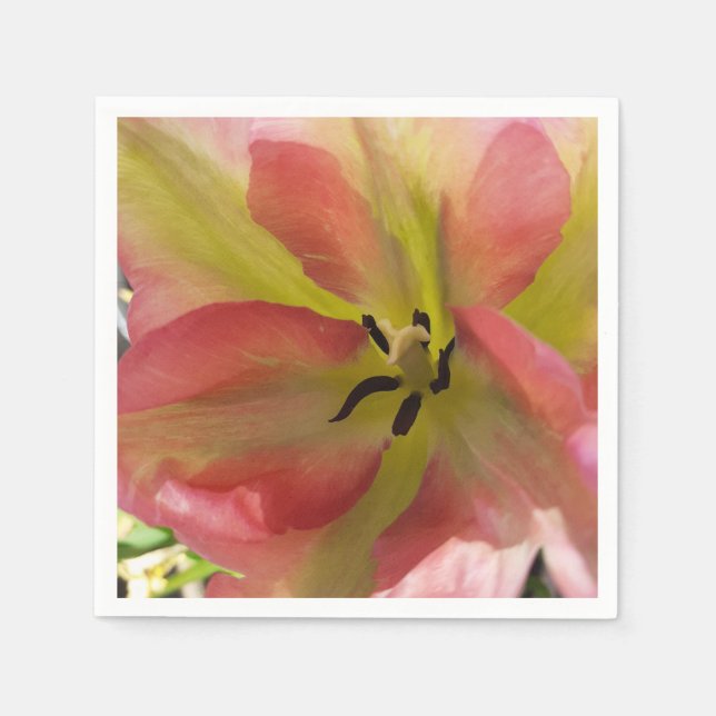 Pink & Yellow Tulip Paper Napkin (Front)