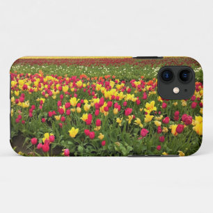 Pink & Yellow Tulips, Oregon iPhone 11 Case