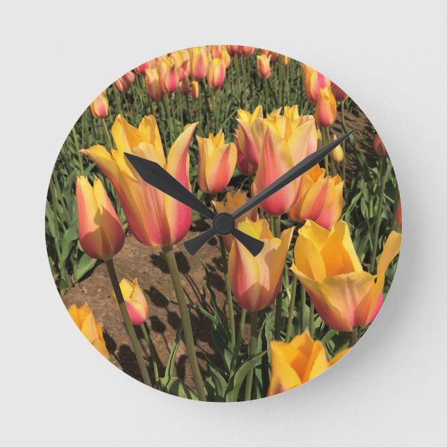 Pink & Yellow Tulips Round Clock (Front)