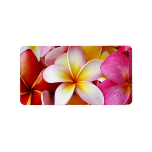 Pink Yellow  White Mixed Plumeria Flower Label