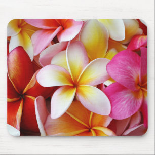 Pink Yellow White Mixed Plumeria Flower Mouse Mat