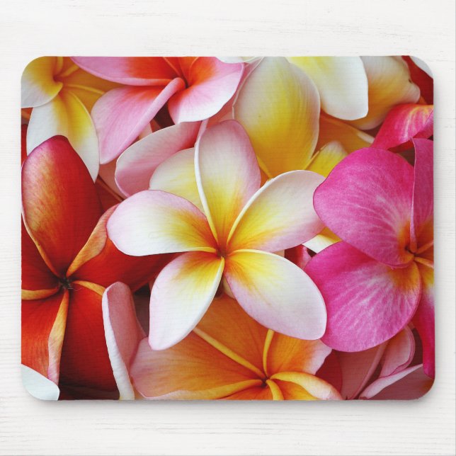Pink Yellow  White Mixed Plumeria Flower Mouse Mat (Front)