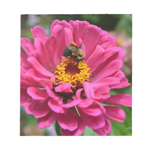 Pink Zinnia and Bumble bee Notepad (Front)