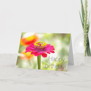 Pink Zinnia Birthday Card