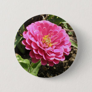 Pink Zinnia Button