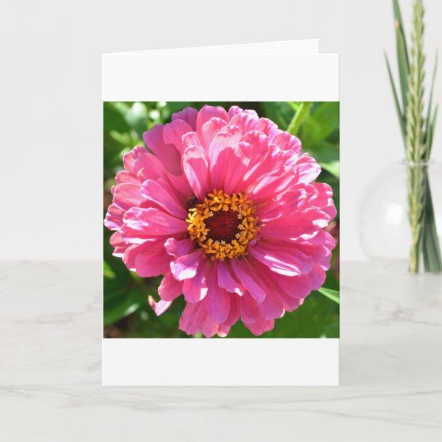Pink Zinnia Card (Front)