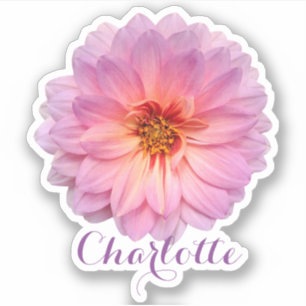 Pink Zinnia Custom Name