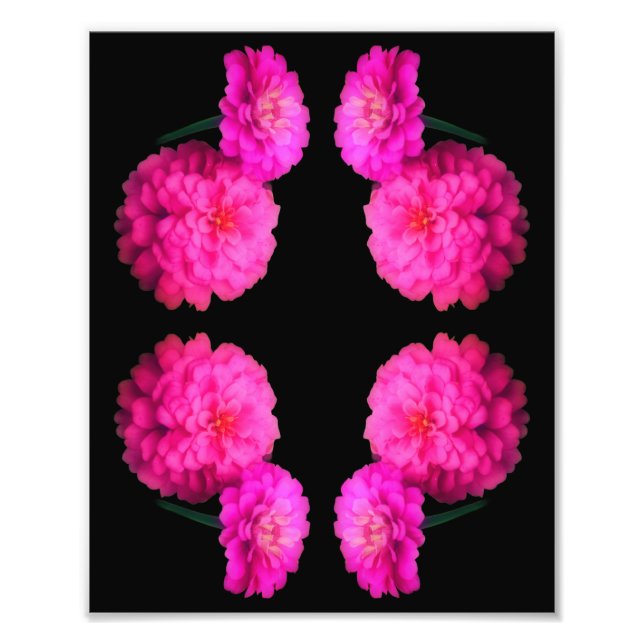 Pink Zinnia Flower Pair Abstract Art 8x10 Photo Print (Front)