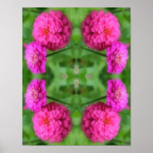 Pink Zinnia Flower Pair Abstract  Poster