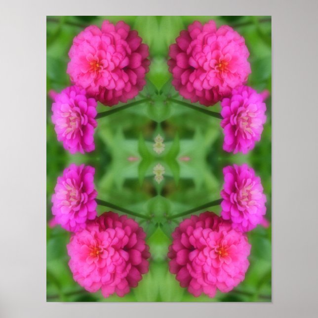Pink Zinnia Flower Pair Abstract  Poster (Front)