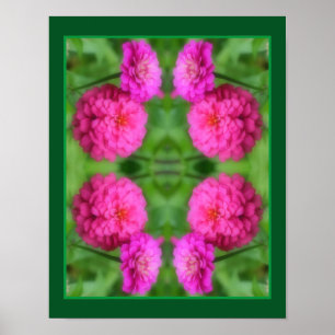 Pink Zinnia Flower Pair Close Up Abstract  Poster