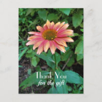 Pink Zinnia Flower Photo Thank You with Greeting 
