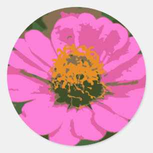 Pink Zinnia Flower Sticker