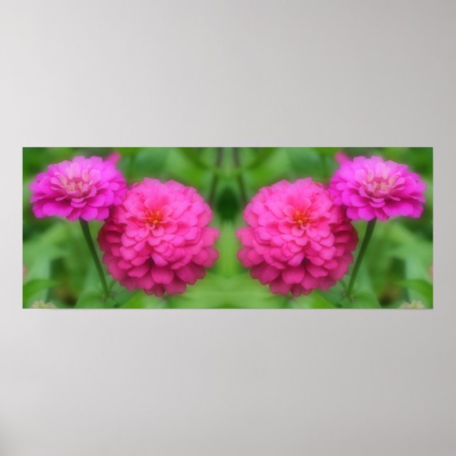 Pink Zinnia Flowers Mirror Abstract Poster (Front)