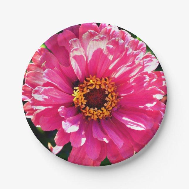 Pink Zinnia Paper Plate (Front)