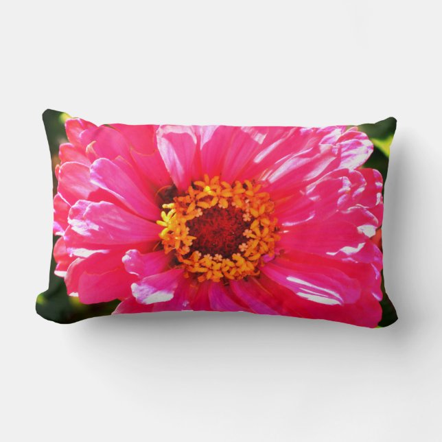 Pink Zinnia, pink daisy, pink flower photo  Lumbar Cushion (Front)