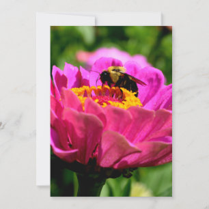 Pink zinnia with bumblebee, pink flowers, cute bee invitation