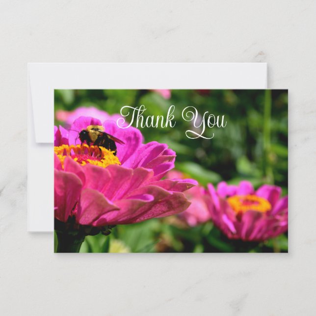 Pink zinnia with bumblebee, pink flowers, cute bee thank you card (Front)