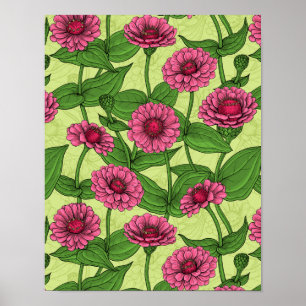 Pink Zinnias on light green Poster