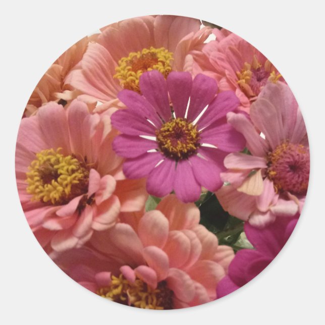 Pink Zinnias Sticker (Front)