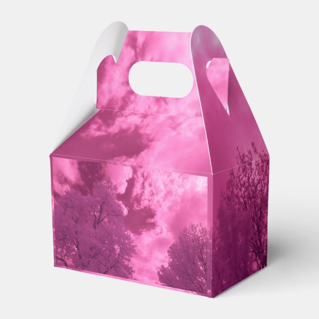 Pinkish Hues Infrared Cloud Favour Box (Front Side)