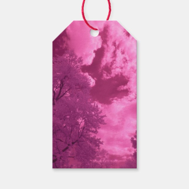 Pinkish Hues Infrared Cloud Gift Tags (Front)