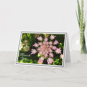Pinkk Queen Anne’s Lace Flower With Green Foliage Card