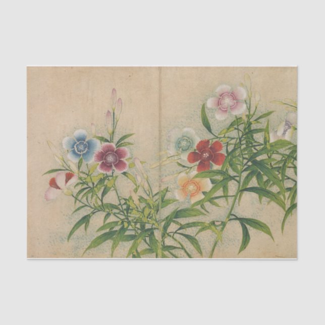Pinks by Zhang Ruoai Tissue Paper (Front)