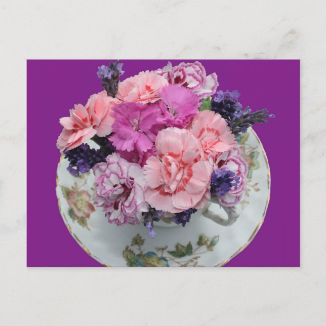 Pinks carnations in teacup postcard (Front)