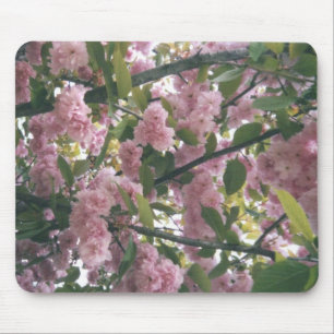 pinkspringtrees 001 mouse mat