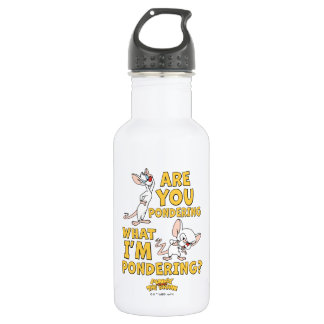 Pinky and the Brain | Are You Pondering? 532 Ml Water Bottle