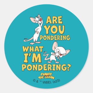 Pinky and the Brain   Are You Pondering? Classic Round Sticker