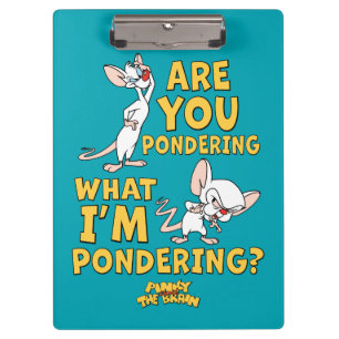 Pinky and the Brain   Are You Pondering? Clipboard