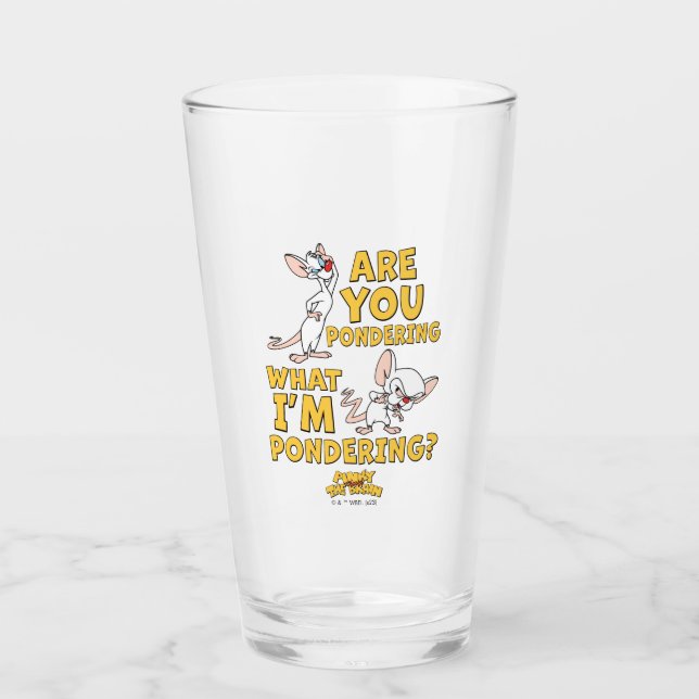 Pinky and the Brain | Are You Pondering? Glass (Front)