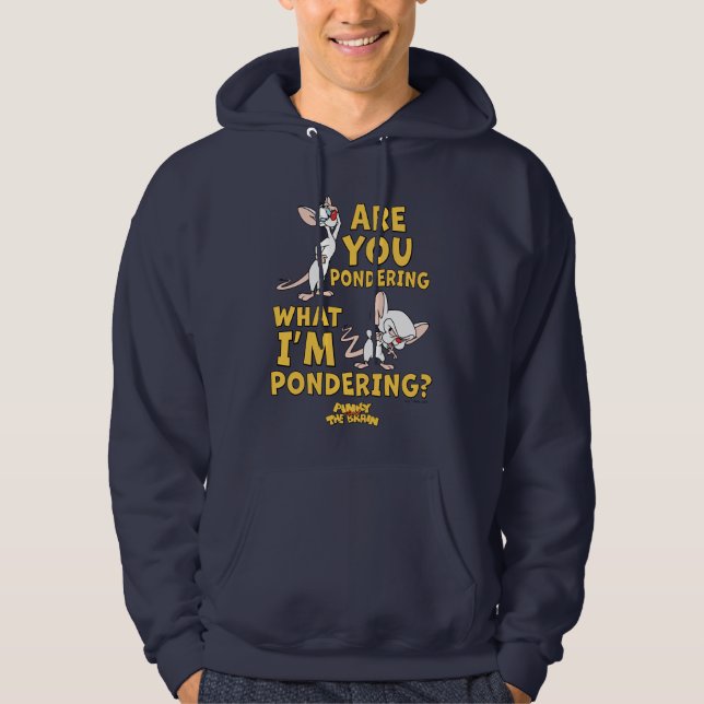 Pinky and the Brain | Are You Pondering? Hoodie (Front)