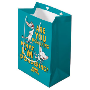 Pinky and the Brain   Are You Pondering? Medium Gift Bag