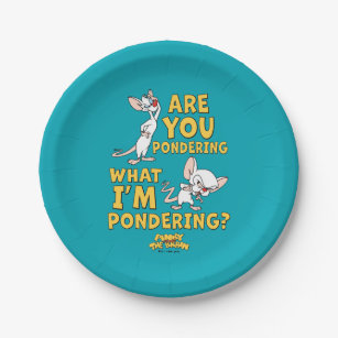 Pinky and the Brain   Are You Pondering? Paper Plate
