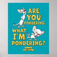 Pinky and the Brain | Are You Pondering?